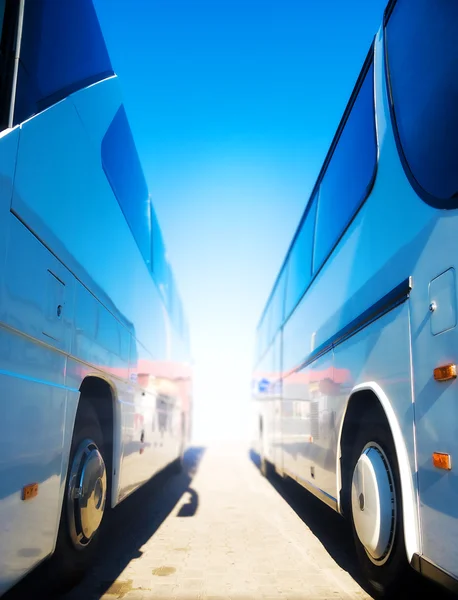 Two tourist buses