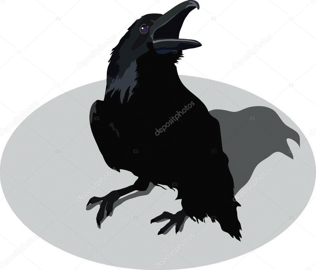 Vector Raven
