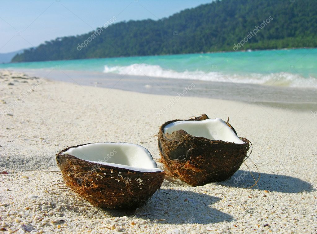 Opened coconut on the beach — Stock Photo © karnizz 1419533