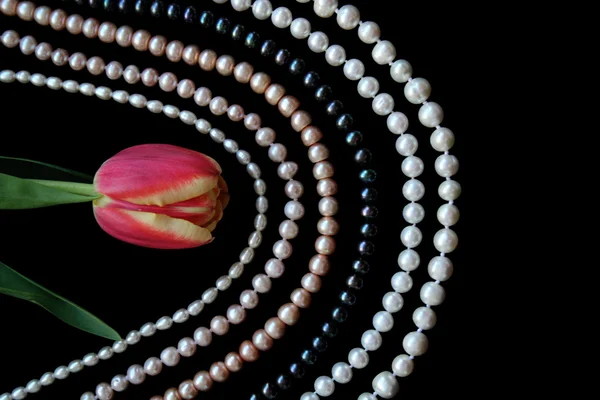 White, black and pink pearls with tulip