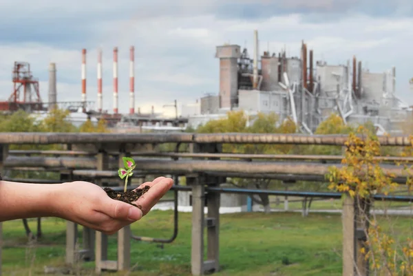 Little plant in the hand near factory