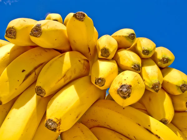 Delicious Ripe Bananas