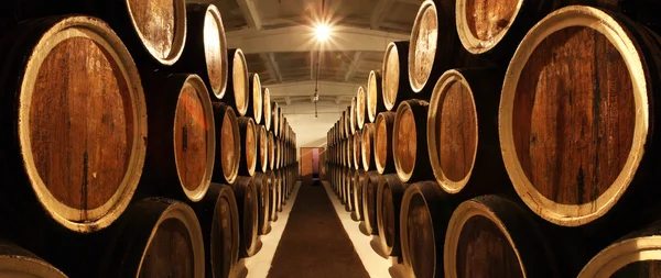 Barrels with the wine alcohol