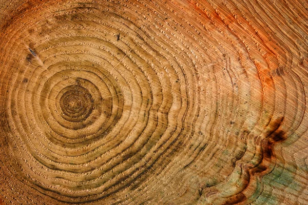 Wooden background with age circles