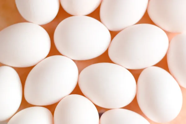 White eggs background