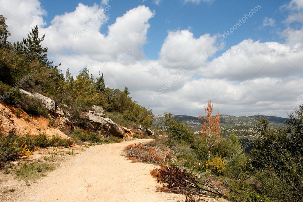 Scenic path curve among wooded hills - Stock Image