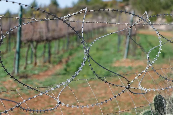 Barbed tape or razor wire fence