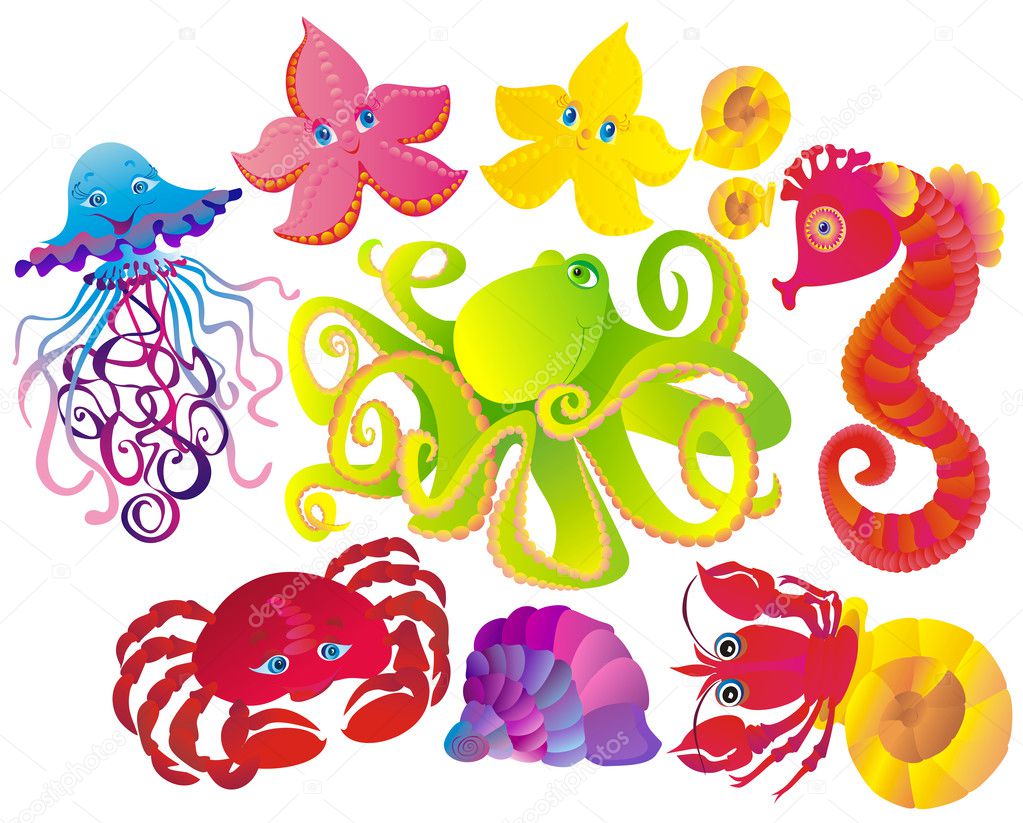 Sea Animals Octopus