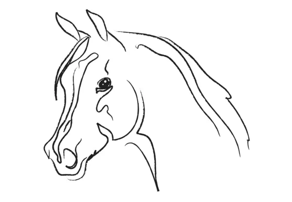 Horse head vector by Maria Itina Stock Photo Editorial Use Only