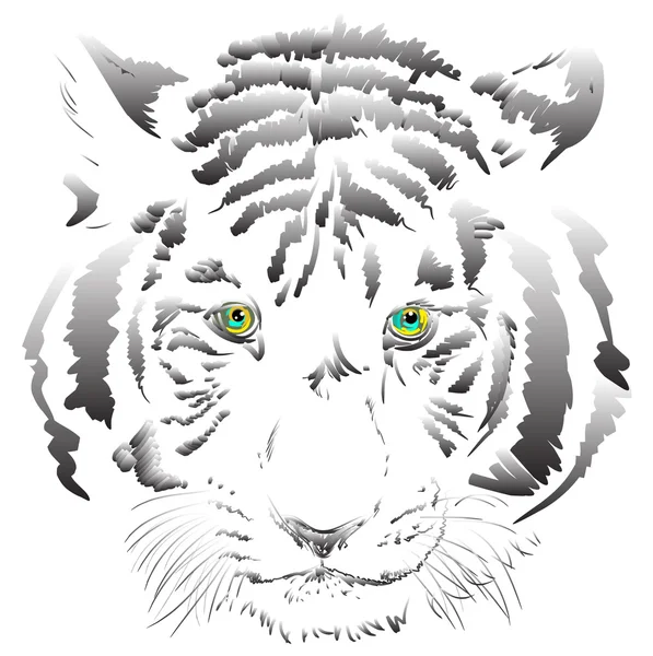 White tiger vector