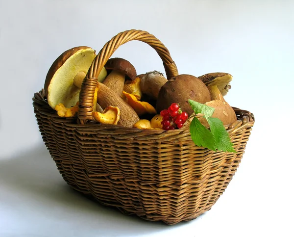 Basket full of mushrooms and berries