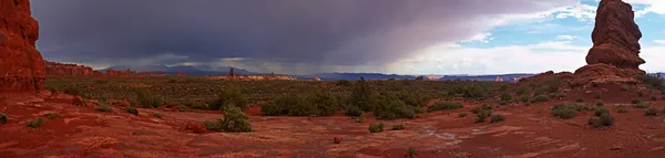 Red Desert after the Storm panorama