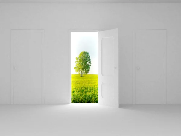 Landscape behind the open door by Ilin Sergey Stock Photo