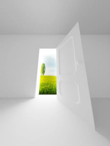 Landscape behind the open door 3D image by Ilin Sergey Stock Photo