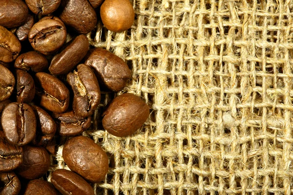 Coffee beans on sacking