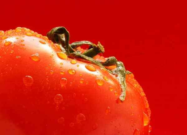 Tomato super close-up