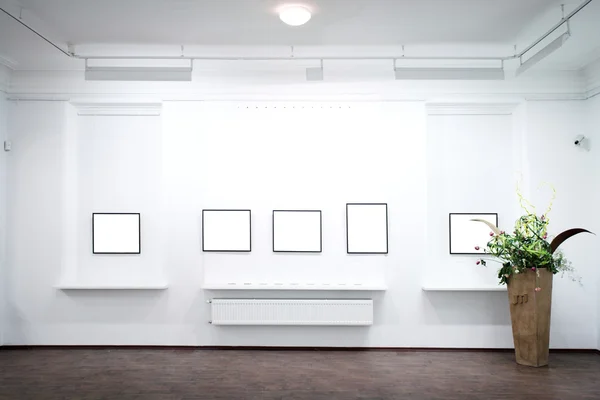 Wall in museum with frames