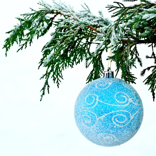 Blue ball on fir branch