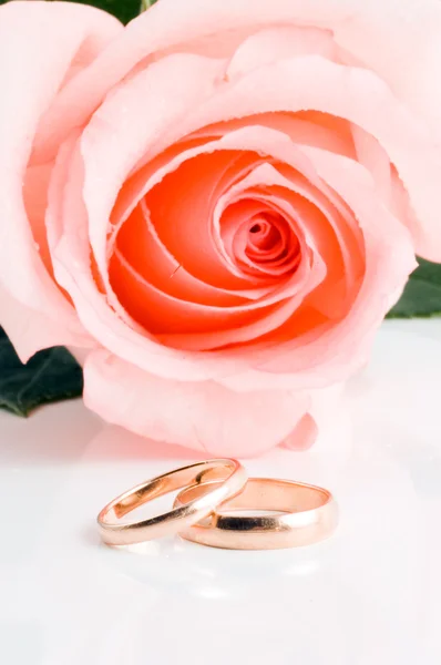 Two gold wedding bands beside a pink ros by Potapova Valeriya Stock Photo