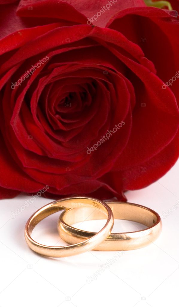 Two gold wedding bands beside a red rose