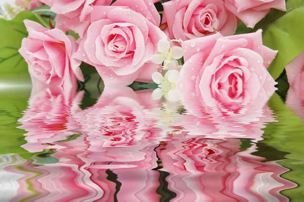 Roses and their reflection in the water