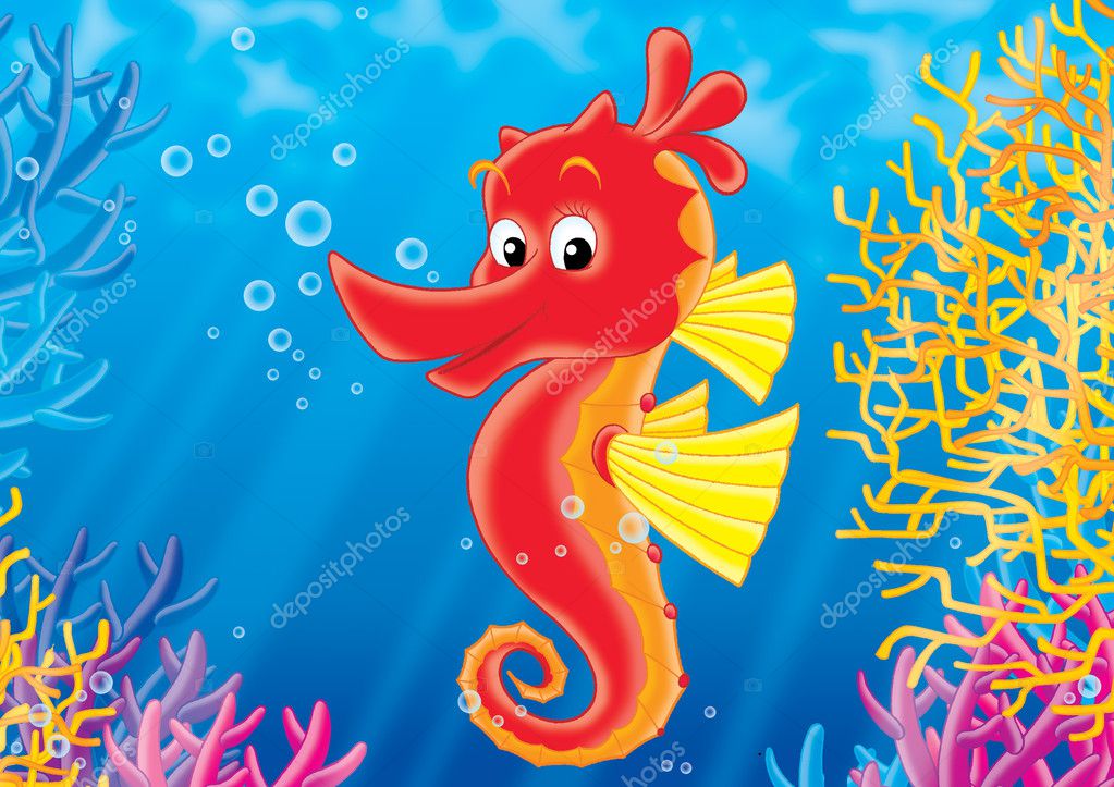 Seahorse Coral Reef