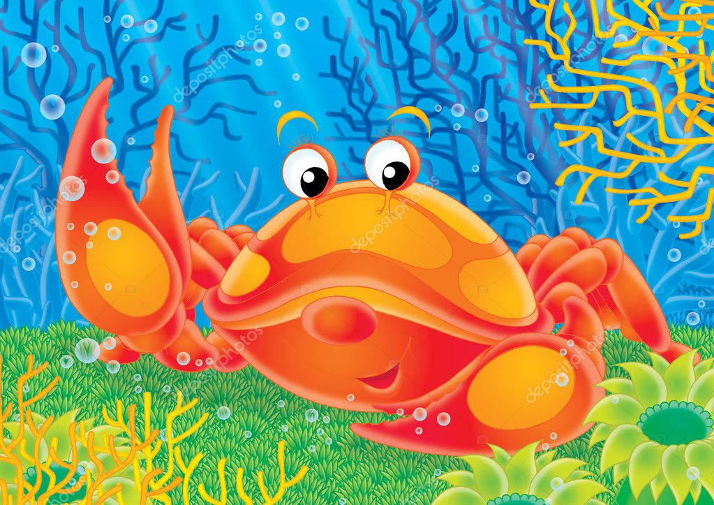 Морской краб рисунки Морской краб рисунки