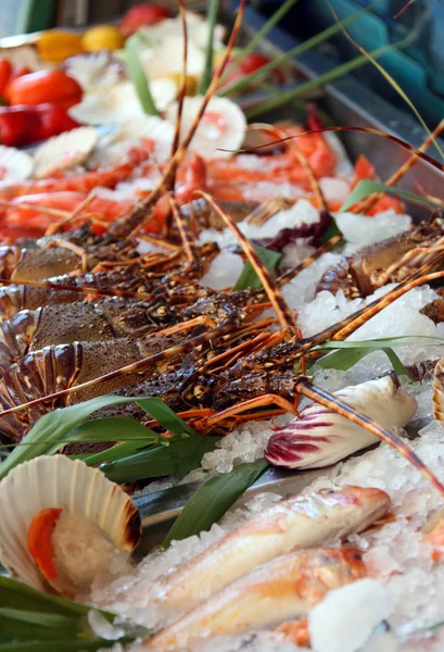 Fresh seafoods lay on an ice