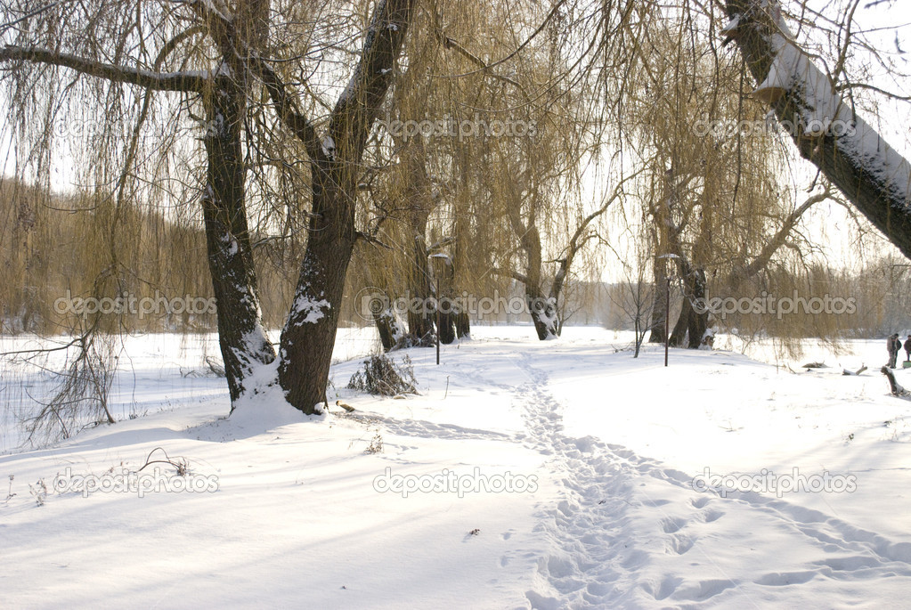 Footsteps in the snow - Stock I...