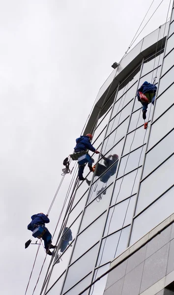Group of workers washing windows in the