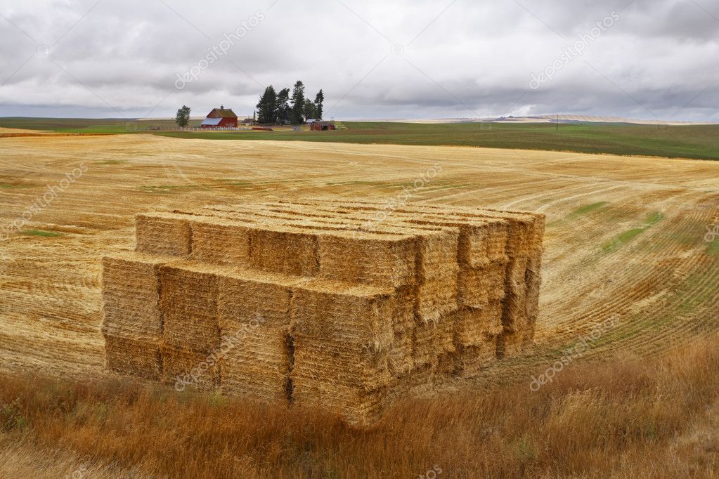 After This - Fields - Hollow Hills After This - Fields - Hollow Hills
