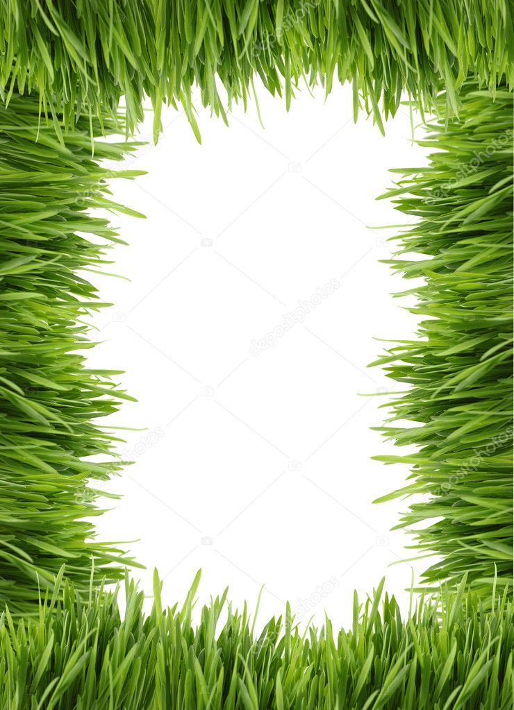 Grass Border