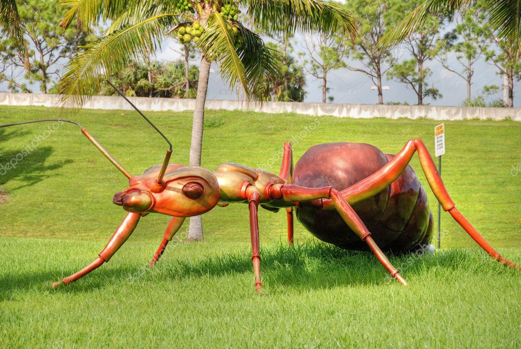 giant ant