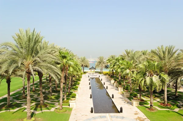 Palm trees area of luxurious hotel