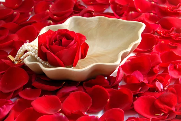Red Rose flower petals spa aromatherapy