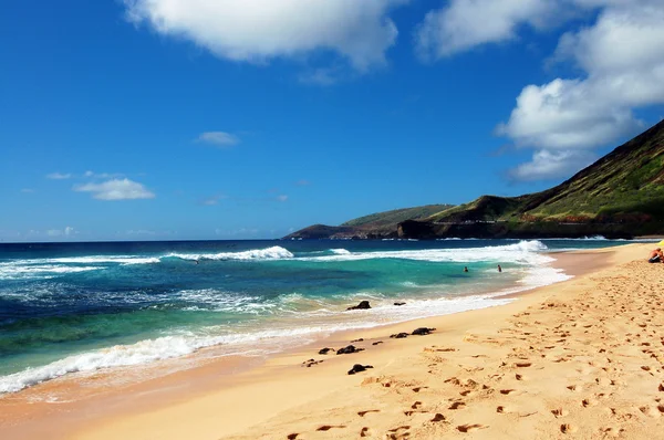 Sandy Beach Honolulu Hawaii by