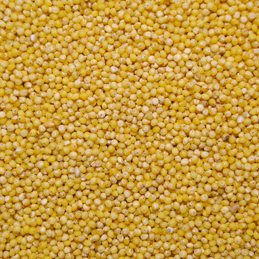 Yellow millet grains — Stock Photo © demoded 1465586