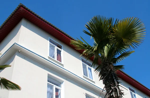 Palm tree and building on tourist resort