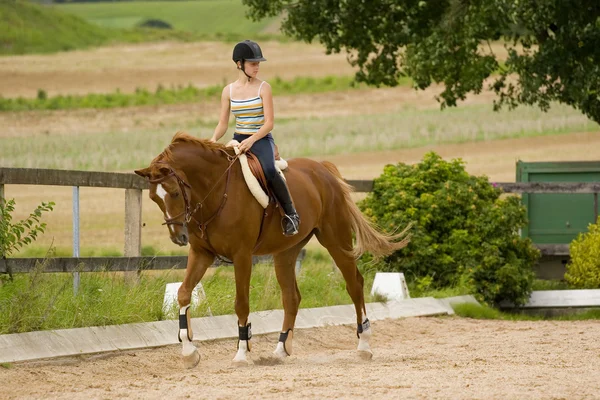 Young girl riding on chestnut horse