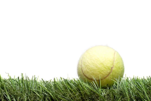 Tennis ball on the lawn
