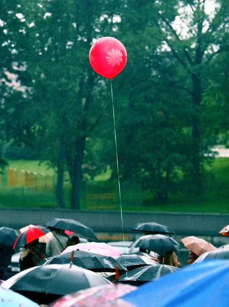Balloon in the rain