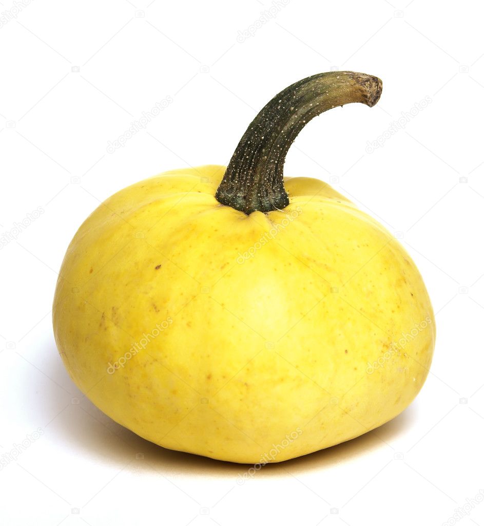 Little yellow pumpkin — Stock Photo © dekay 1345314
