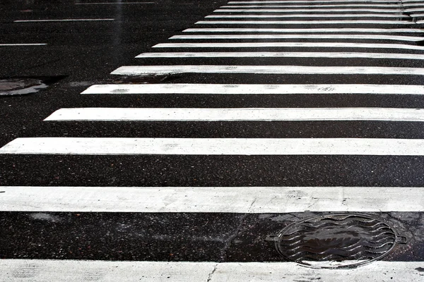 Crosswalk Vector