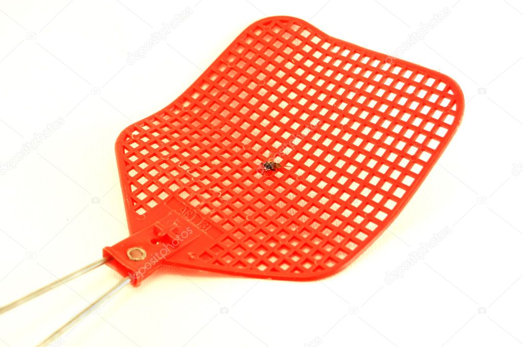 Fly swatter — Stock Photo © aletermi 1340520