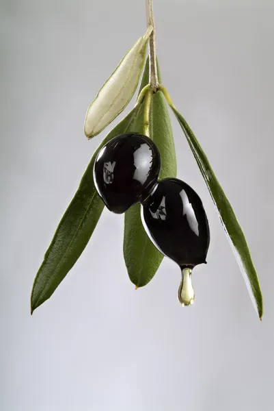 Dripping black olives by Noam