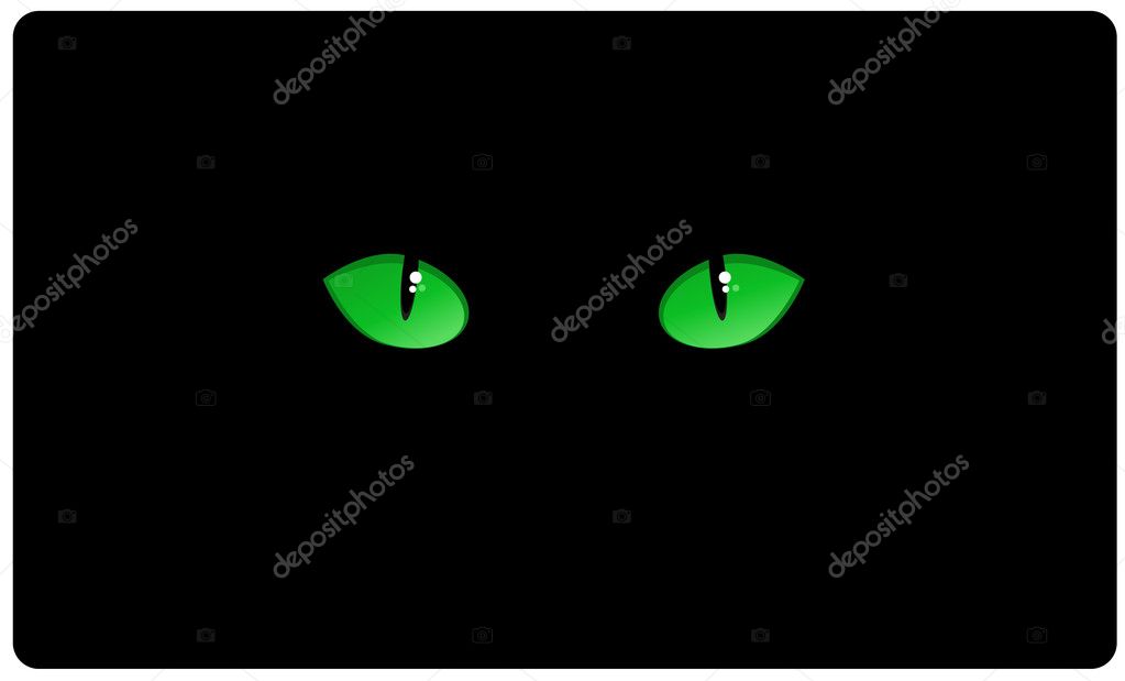 cat eyes in the dark. Cat eyes in the dark