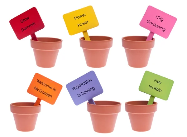 Group of Clay Pots with Colored Signs