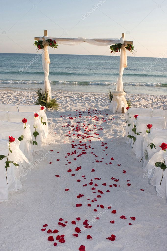 Rose petals line the bridal path leading to the wedding arch on the beach