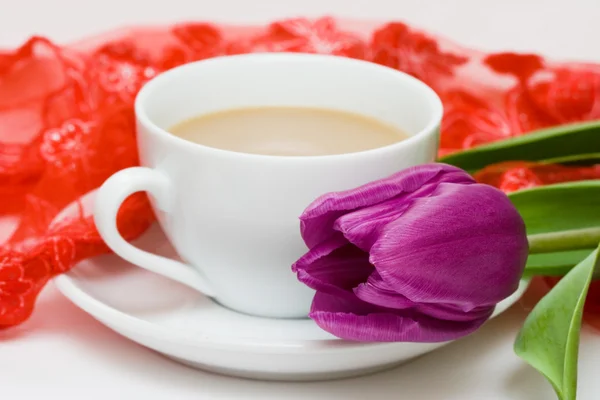 White cup of coffee with violet tulip