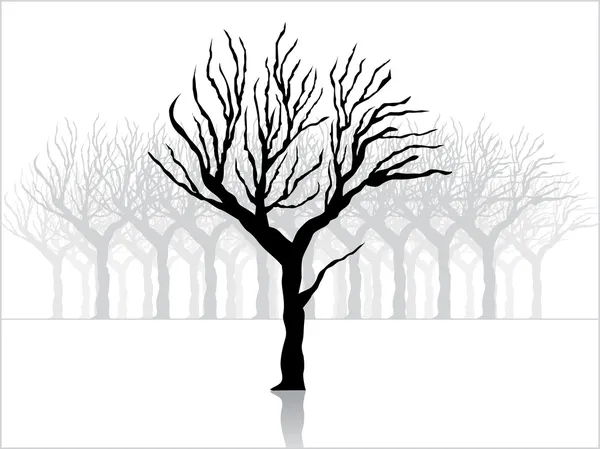 a dry tree